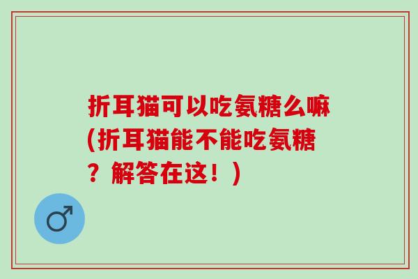 折耳猫可以吃氨糖么嘛(折耳猫能不能吃氨糖？解答在这！)