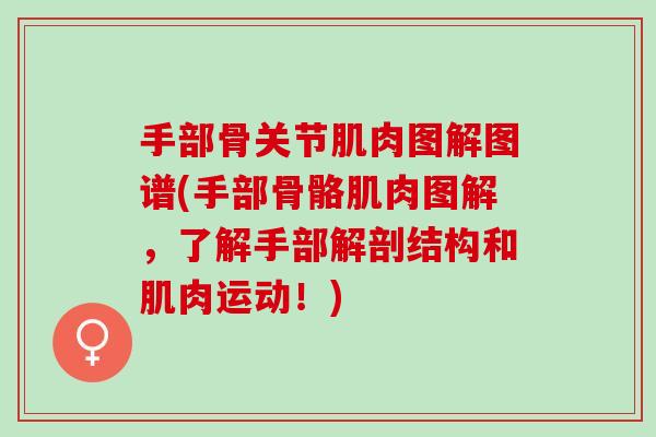 手部骨关节肌肉图解图谱(手部骨骼肌肉图解，了解手部解剖结构和肌肉运动！)