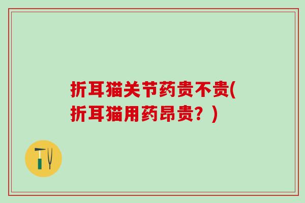 折耳猫关节药贵不贵(折耳猫用药昂贵？)