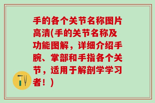 手的各个关节名称图片高清(手的关节名称及功能图解，详细介绍手腕、掌部和手指各个关节，适用于解剖学学习者！)