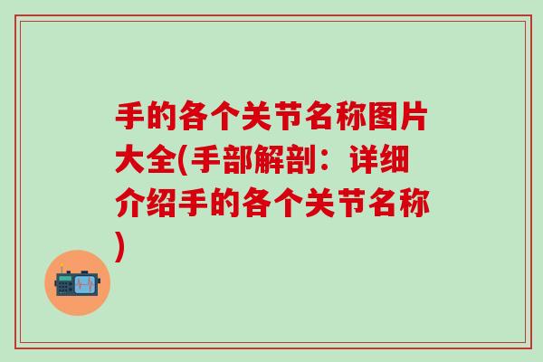 手的各个关节名称图片大全(手部解剖：详细介绍手的各个关节名称)