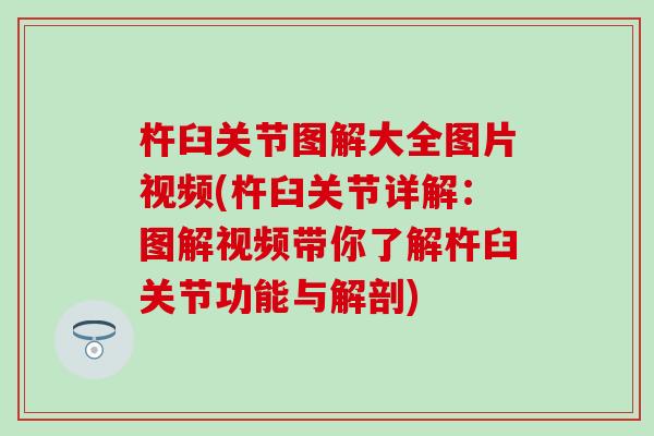 杵臼关节图解大全图片视频(杵臼关节详解：图解视频带你了解杵臼关节功能与解剖)