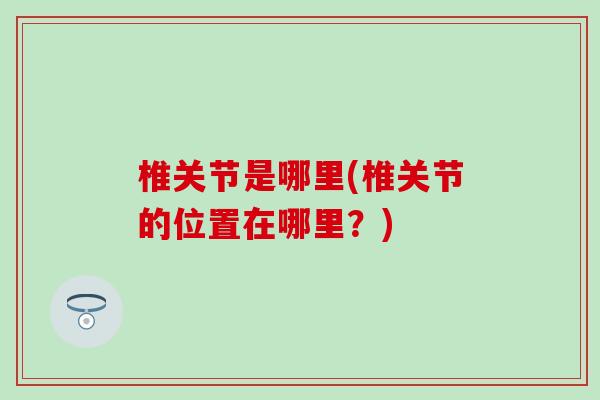 椎关节是哪里(椎关节的位置在哪里？)