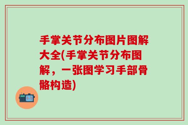 手掌关节分布图片图解大全(手掌关节分布图解，一张图学习手部骨骼构造)