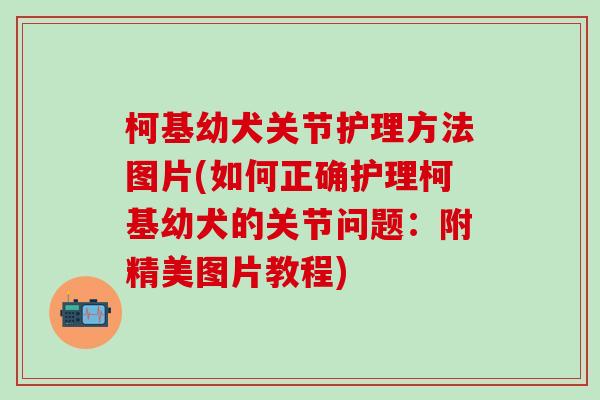 柯基幼犬关节护理方法图片(如何正确护理柯基幼犬的关节问题：附精美图片教程)