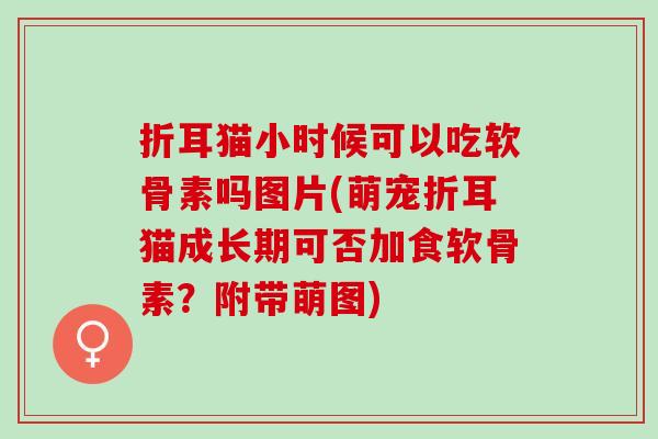 折耳猫小时候可以吃软骨素吗图片(萌宠折耳猫成长期可否加食软骨素？附带萌图)