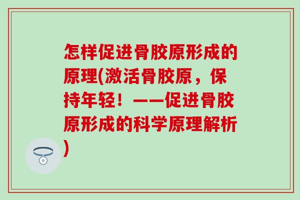 怎样促进骨胶原形成的原理(激活骨胶原，保持年轻！——促进骨胶原形成的科学原理解析)