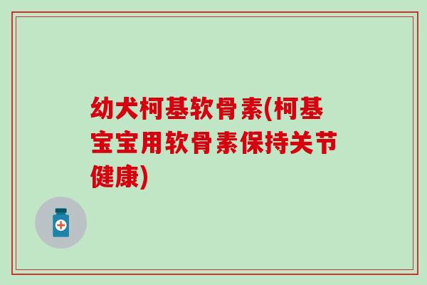 幼犬柯基软骨素(柯基宝宝用软骨素保持关节健康)
