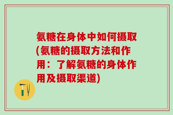 氨糖在身体中如何摄取(氨糖的摄取方法和作用:了解氨糖的身体作用及摄取渠道) 氨糖在身体中如何摄取(氨糖的摄取方法和作用:了解氨糖的身体作用及摄取渠道)