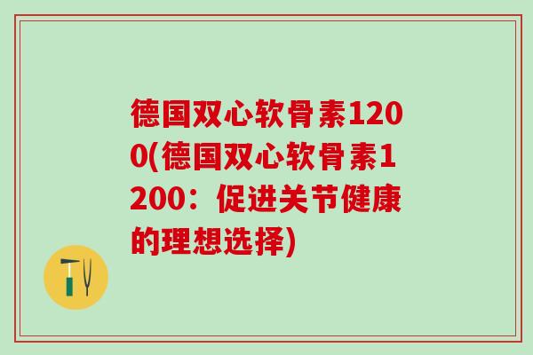 德国双心软骨素1200(德国双心软骨素1200：促进关节健康的理想选择)