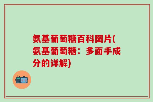 氨基葡萄糖百科图片(氨基葡萄糖：多面手成分的详解)
