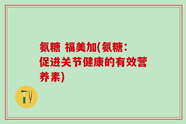 氨糖 福美加(氨糖：促进关节健康的有效营养素)