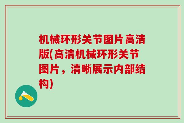 机械环形关节图片高清版(高清机械环形关节图片，清晰展示内部结构)