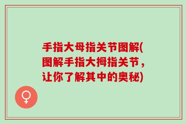 手指大母指关节图解(图解手指大拇指关节，让你了解其中的奥秘)