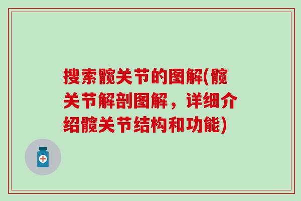 搜索髋关节的图解(髋关节解剖图解，详细介绍髋关节结构和功能)