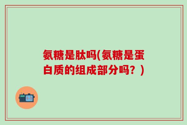 氨糖是肽吗(氨糖是蛋白质的组成部分吗？)