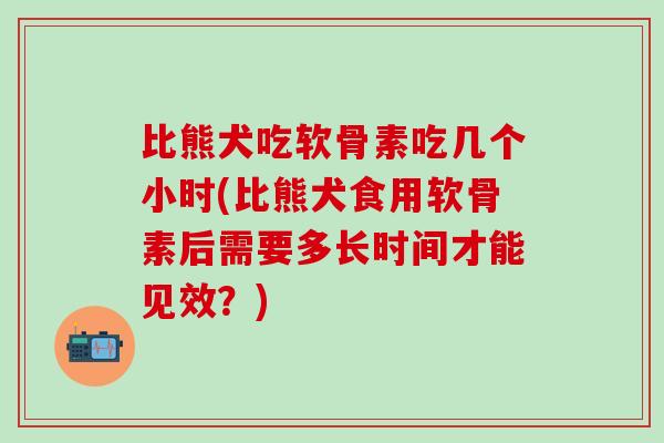 比熊犬吃软骨素吃几个小时(比熊犬食用软骨素后需要多长时间才能见效？)