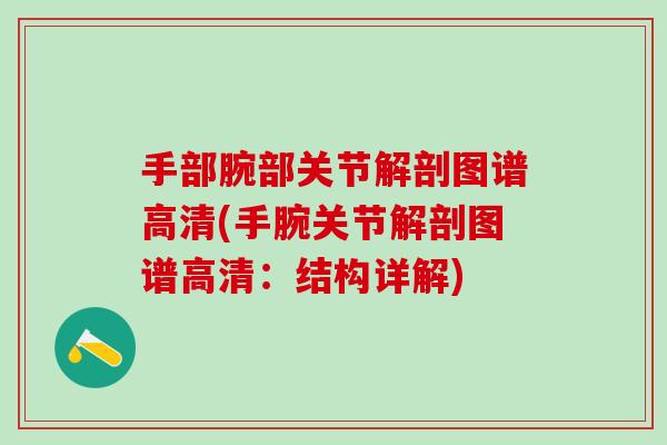 手部腕部关节解剖图谱高清(手腕关节解剖图谱高清：结构详解)