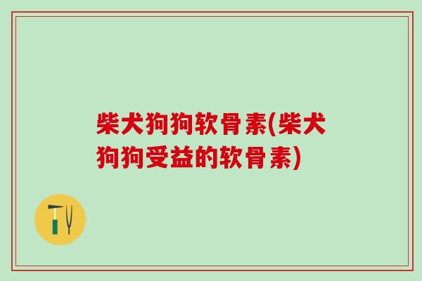 柴犬狗狗软骨素(柴犬狗狗受益的软骨素)