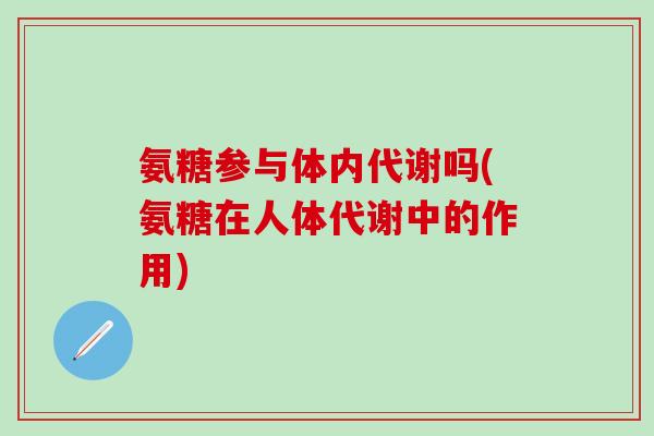 氨糖参与体内代谢吗(氨糖在人体代谢中的作用)