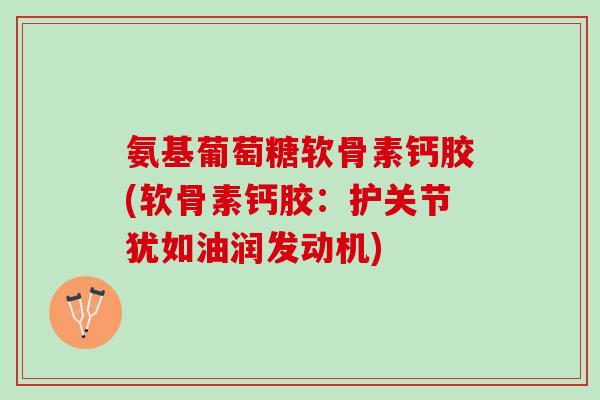 氨基葡萄糖软骨素钙胶(软骨素钙胶：护关节犹如油润发动机)