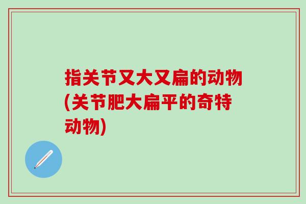 指关节又大又扁的动物(关节肥大扁平的奇特动物)