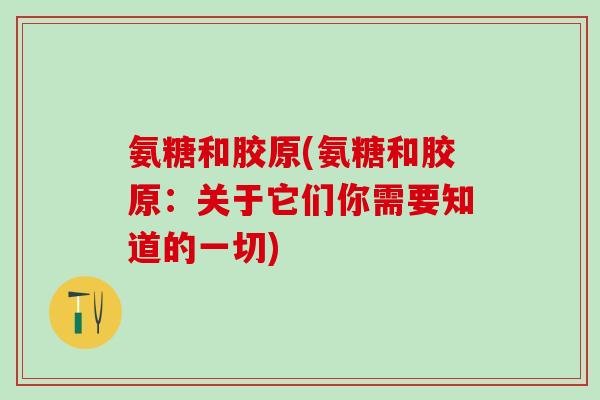 氨糖和胶原(氨糖和胶原：关于它们你需要知道的一切)