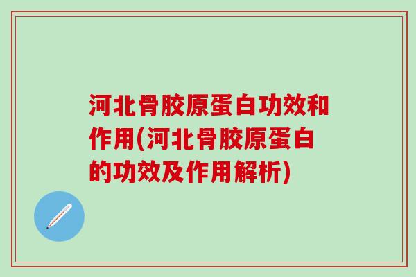 河北骨胶原蛋白功效和作用(河北骨胶原蛋白的功效及作用解析)