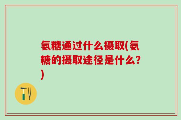 氨糖通过什么摄取(氨糖的摄取途径是什么？)