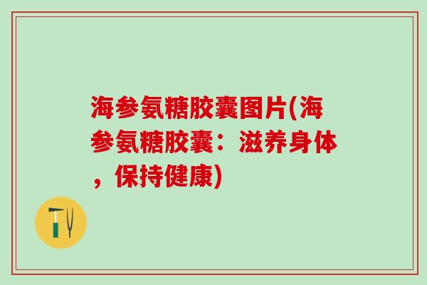 海参氨糖胶囊图片(海参氨糖胶囊：滋养身体，保持健康)