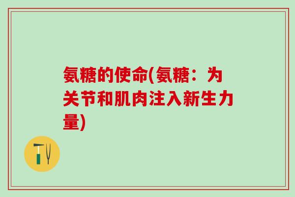 氨糖的使命(氨糖：为关节和肌肉注入新生力量)