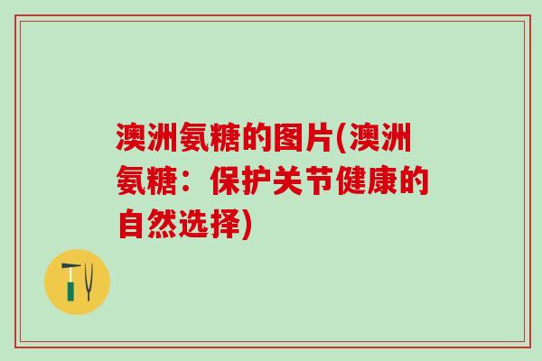 澳洲氨糖的图片(澳洲氨糖：保护关节健康的自然选择)