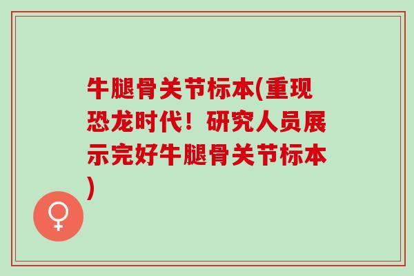 牛腿骨关节标本(重现恐龙时代！研究人员展示完好牛腿骨关节标本)