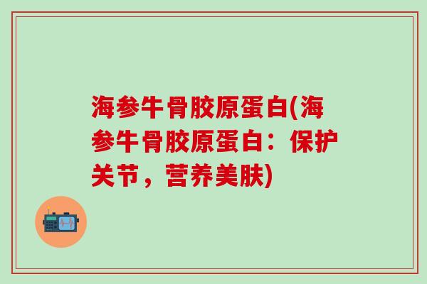 海参牛骨胶原蛋白(海参牛骨胶原蛋白：保护关节，营养美肤)