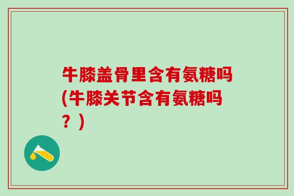 牛膝盖骨里含有氨糖吗(牛膝关节含有氨糖吗？)