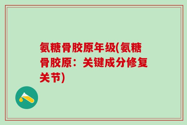 氨糖骨胶原年级(氨糖骨胶原：关键成分修复关节)