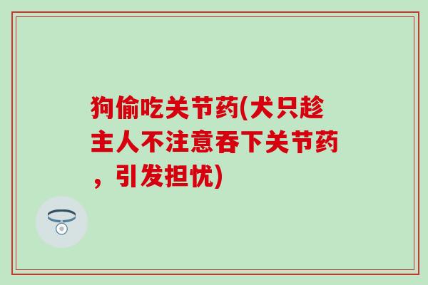 狗偷吃关节药(犬只趁主人不注意吞下关节药，引发担忧)