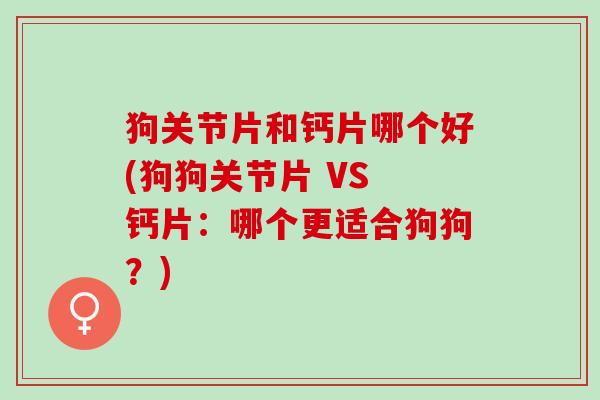 狗关节片和钙片哪个好(狗狗关节片 VS 钙片：哪个更适合狗狗？)