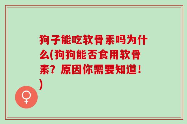 狗子能吃软骨素吗为什么(狗狗能否食用软骨素？原因你需要知道！)