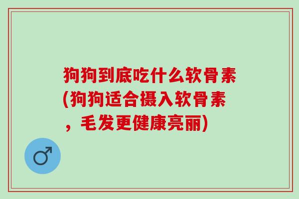 狗狗到底吃什么软骨素(狗狗适合摄入软骨素，毛发更健康亮丽)