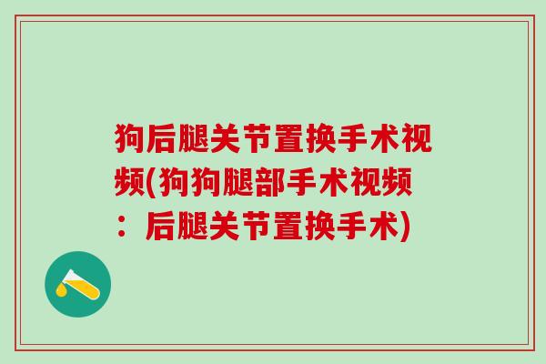 狗后腿关节置换手术视频(狗狗腿部手术视频：后腿关节置换手术)