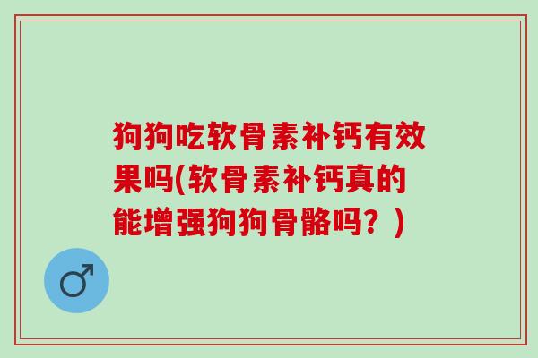 狗狗吃软骨素补钙有效果吗(软骨素补钙真的能增强狗狗骨骼吗？)