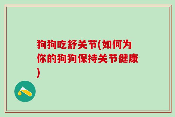 狗狗吃舒关节(如何为你的狗狗保持关节健康)