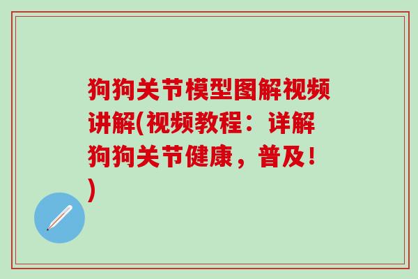 狗狗关节模型图解视频讲解(视频教程：详解狗狗关节健康，普及！)