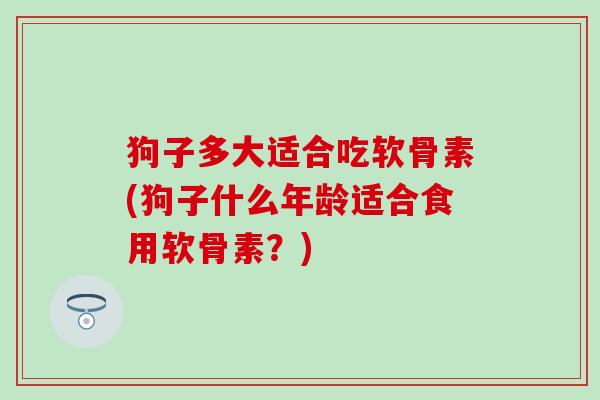狗子多大适合吃软骨素(狗子什么年龄适合食用软骨素？)