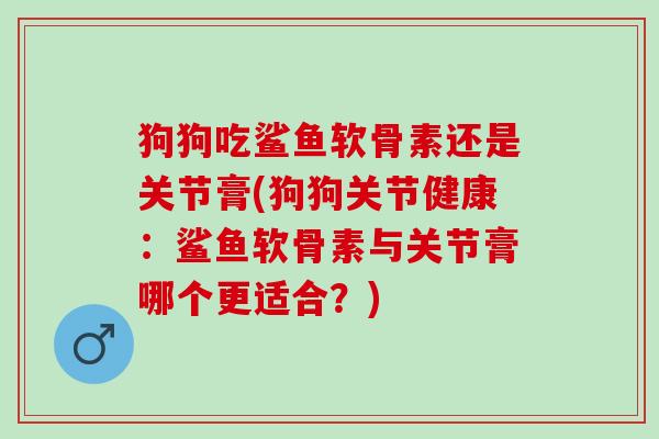 狗狗吃鲨鱼软骨素还是关节膏(狗狗关节健康：鲨鱼软骨素与关节膏哪个更适合？)