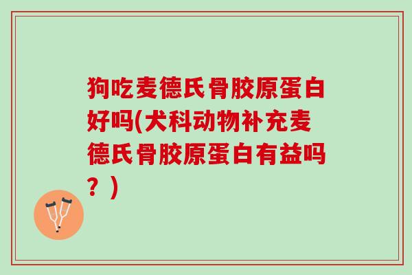 狗吃麦德氏骨胶原蛋白好吗(犬科动物补充麦德氏骨胶原蛋白有益吗？)