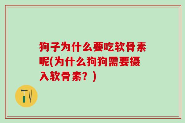 狗子为什么要吃软骨素呢(为什么狗狗需要摄入软骨素？)
