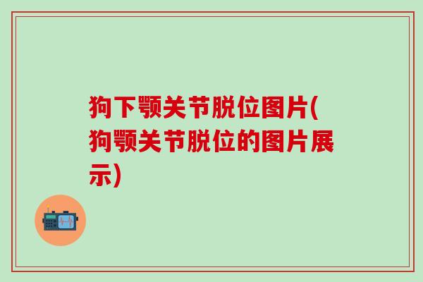 狗下颚关节脱位图片(狗颚关节脱位的图片展示)