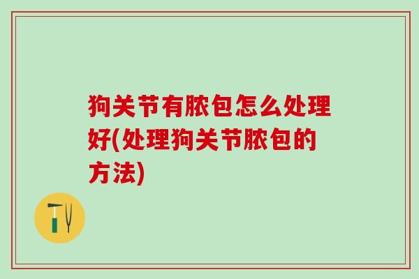狗关节有脓包怎么处理好(处理狗关节脓包的方法)